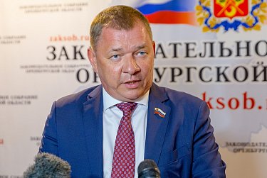 Бездомных собак отдали «на откуп» регионам